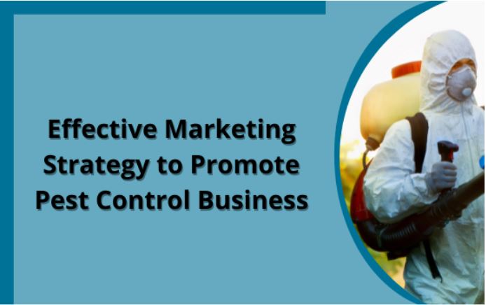 Pest control marketing strategies